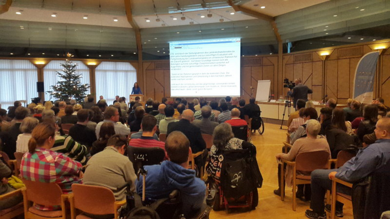 Vorstellung des Landesaktionsplans am 2.12.15